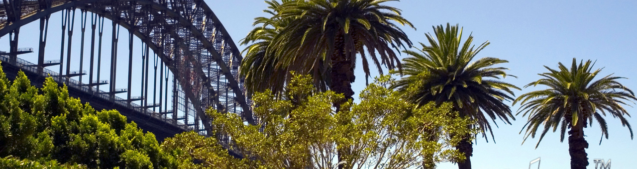 电话轰炸业务网